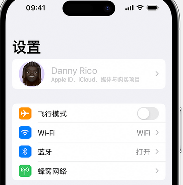 临河appleID维修服务iPhone设置中Apple ID显示为灰色无法使用