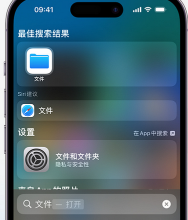 临河apple维修中心分享iPhone文件应用中存储和找到下载文件 