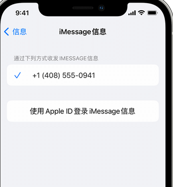 临河apple维修iPhone上无法正常发送iMessage信息 