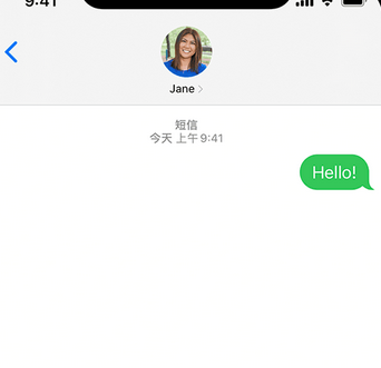 临河apple维修iPhone上无法正常发送iMessage信息