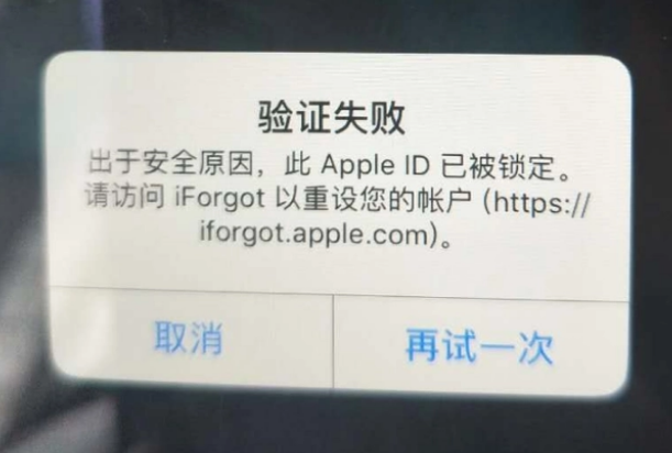 临河iPhone维修分享iPhone上正常登录或使用AppleID怎么办 