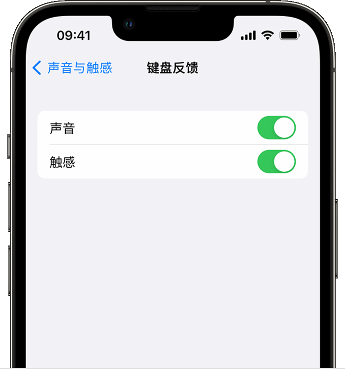 临河苹果14维修店分享如何在 iPhone 14 机型中使用触感键盘 