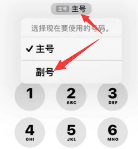 临河苹果14维修店分享iPhone 14 Pro Max使用副卡打电话的方法 