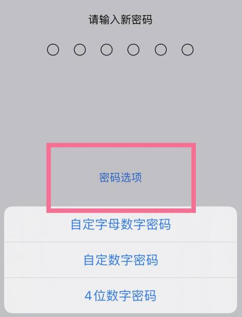 临河苹果14维修分享iPhone 14plus设置密码的方法 