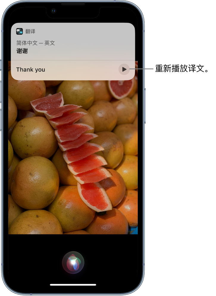 临河苹果14维修分享 iPhone 14 机型中使用 Siri：了解 Siri 能帮你做什么 