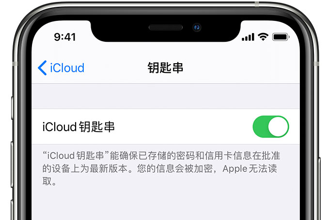 临河苹果手机维修分享在 iPhone 上开启 iCloud 钥匙串之后会储存哪些信息 