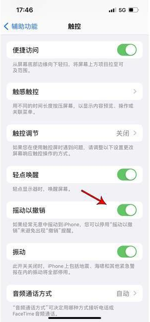 临河苹果手机维修分享iPhone手机如何设置摇一摇删除文字 