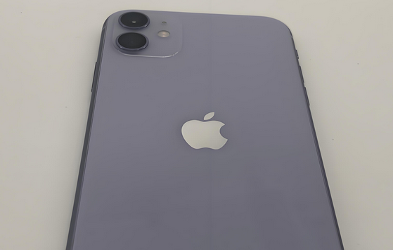 临河苹果11系统维修分享iPhone11手机系统崩溃无法开机如何解决 
